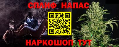 гидра Гагарин