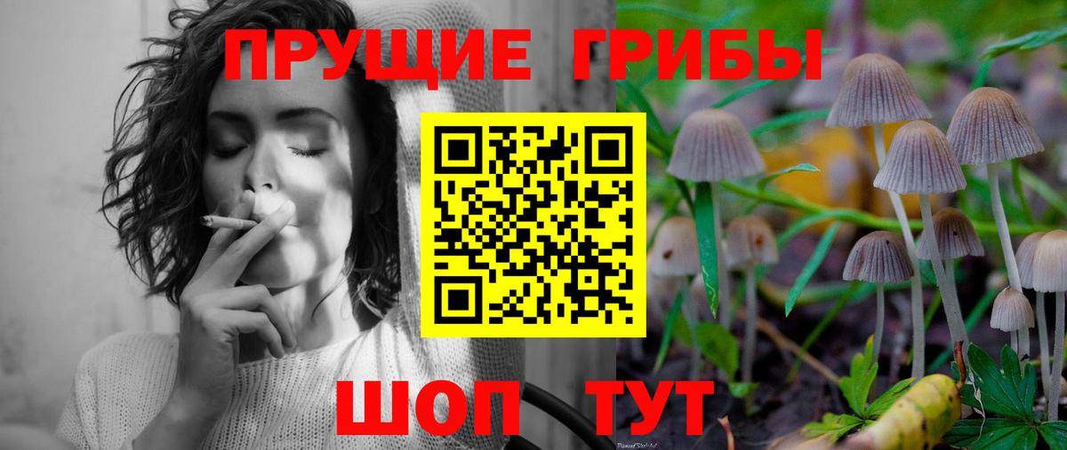 Валуйки  Галлюциногенные грибы прущие грибы  Галлюциногенные грибы ЛСД  Вход с VPN 